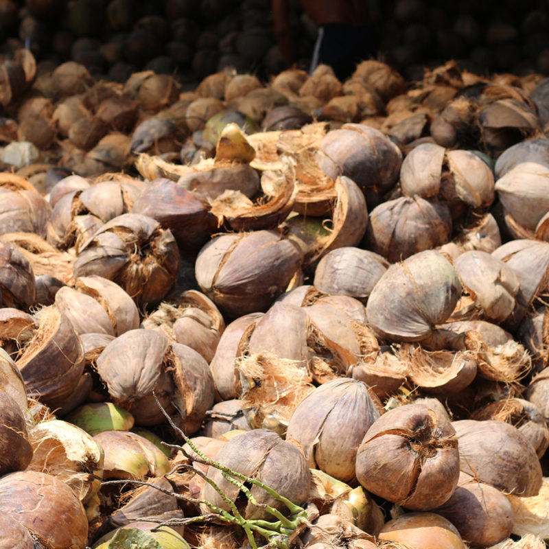 Coconut shells Vietnam
