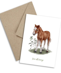 Plant Ahead Postcards - Horse