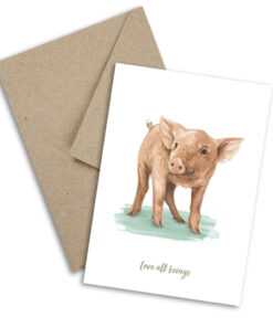 Plant Ahead Postcards - Pig