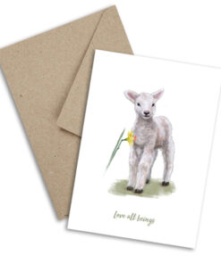 Plant Ahead Postcards - Lamb