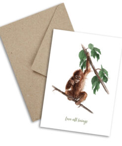 Plant Ahead Postcards - Orangutan