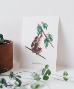 Plant Ahead Postcard Orangutan